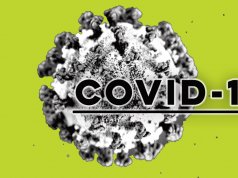 COVID-19 modeling, numbers and news worth noting COVID-19 modeling