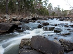 Caring for the environment can help you get through the pandemic caring for the environment