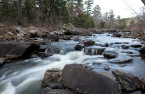 Caring for the environment can help you get through the pandemic caring for the environment