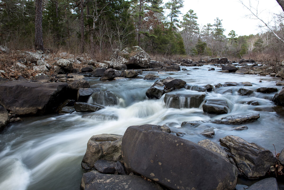 caring for the environment