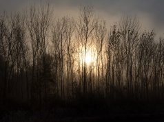 ‘We must act’: Earth Day in the time of pandemic Earth Day