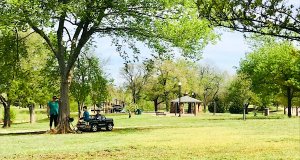 Distance learning from home and in the park distance learning