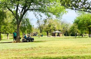Distance learning from home and in the park distance learning