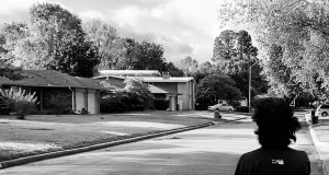 ‘Gray days are the hardest’: a pandemic diary gray days