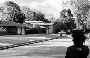 ‘Gray days are the hardest’: a pandemic diary gray days