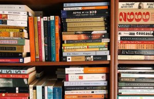 ‘Things fall apart’: a pandemic diary pandemic