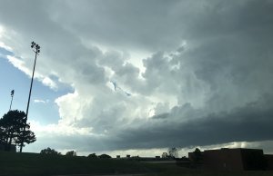 ‘Love alone together’: A pandemic diary love