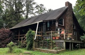 ‘Quarantined in a lonely paradise’: A pandemic diary Quarantined