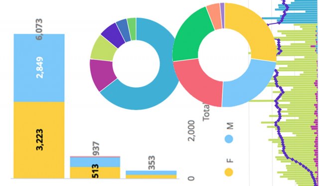 Graphs-2 COVID-19 numbers