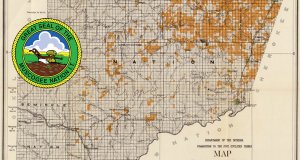 ‘We hold the government to its word’: SCOTUS affirms Creek Nation reservation McGirt v Oklahoma