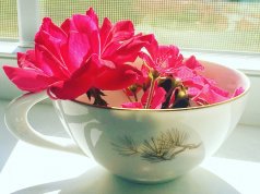 Parenting in the pandemic: It’s a lot, you know? flowers, parenting in the pandemic