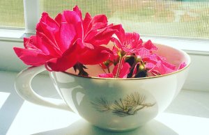 Parenting in the pandemic: It’s a lot, you know? flowers, parenting in the pandemic