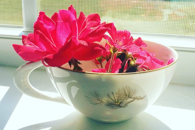 flowers, parenting in the pandemic