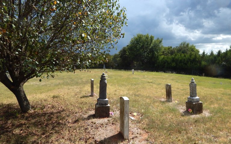 ‘Don’t let weeds grow on my grave’: Poems on Gower Memorial Cemetery