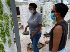 Stopgap solutions buffer northeast OKC food desert food desert