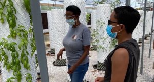 Stopgap solutions buffer northeast OKC food desert food desert
