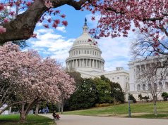 Students need more than a citizenship test to prepare for civic engagement citizenship test