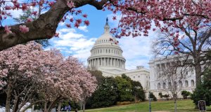 Students need more than a citizenship test to prepare for civic engagement citizenship test