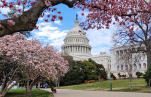 Students need more than a citizenship test to prepare for civic engagement citizenship test
