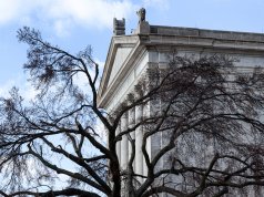 Follow through on SQ 781 by funding treatment and rehabilitation services SQ 781