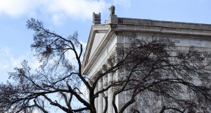 Follow through on SQ 781 by funding treatment and rehabilitation services SQ 781