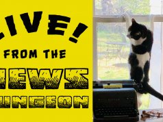 NonDoc Petcast: Cats, dogs and where they come from Petcast