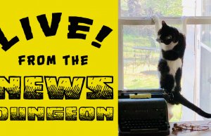 NonDoc Petcast: Cats, dogs and where they come from Petcast