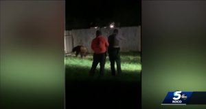 In a human habitat, the Norman bear lost his dominion Norman bear