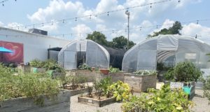 ‘Discussions with people’: NonDoc staff visits Duncan Duncan