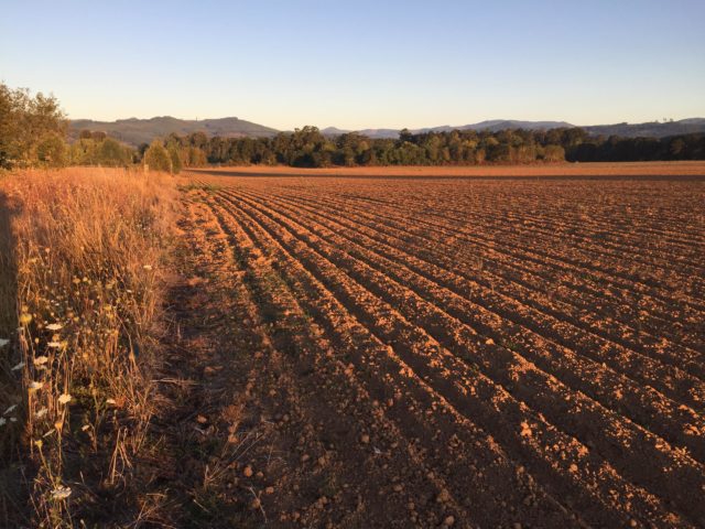 U.S. Department of Agriculture