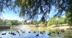 Park it: Edmond voters approve sales tax, land purchase Edmond voters, Hafer Park