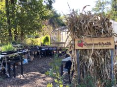 Knowing and growing the food web in your yard CommonWealth Urban Farms