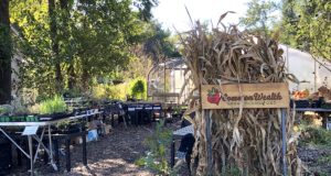 Knowing and growing the food web in your yard CommonWealth Urban Farms