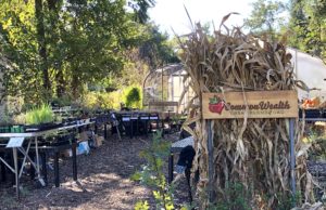 Knowing and growing the food web in your yard CommonWealth Urban Farms