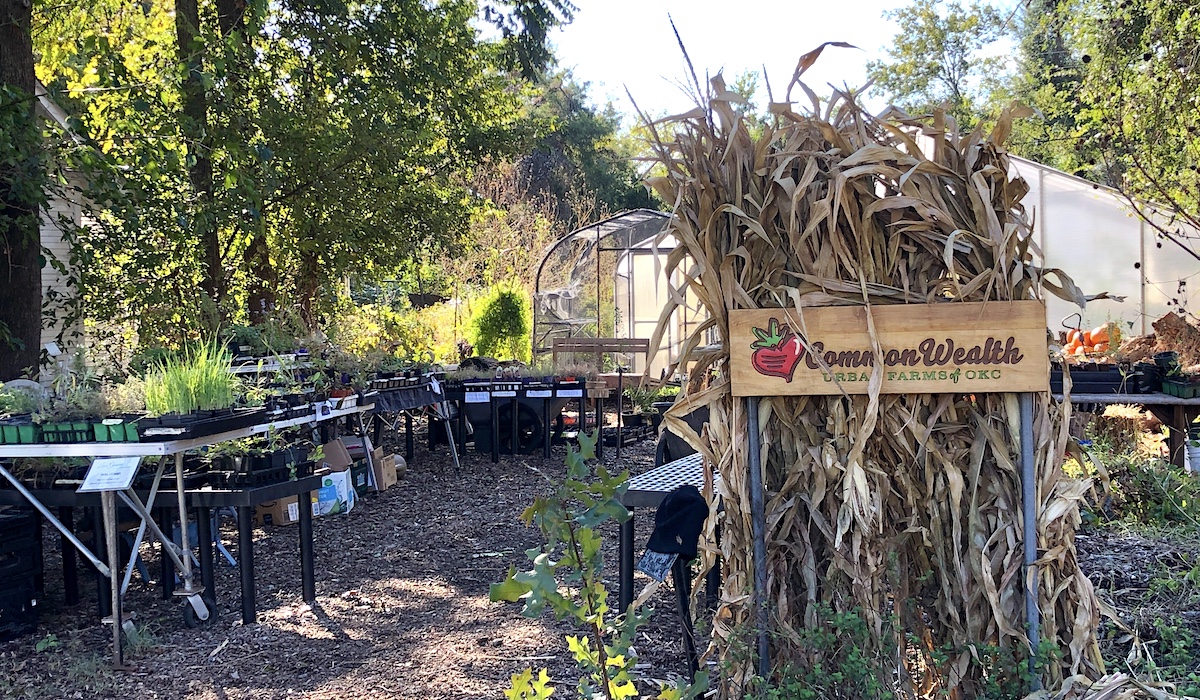 CommonWealth Urban Farms