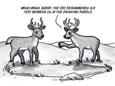 Gaining function: Hunters hear of COVID-19 in deer COVID-19 in deer