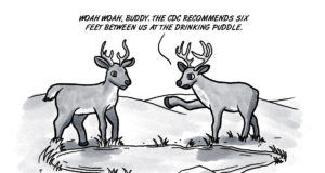 Gaining function: Hunters hear of COVID-19 in deer COVID-19 in deer