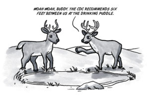 Gaining function: Hunters hear of COVID-19 in deer COVID-19 in deer