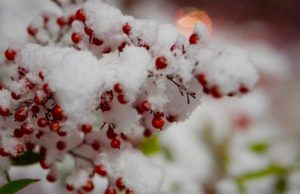 Finding hope and help amid holiday heartache holiday heartache