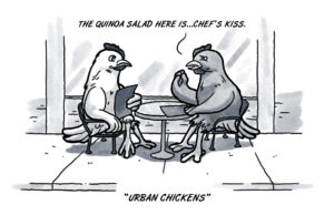 Urban OKC chickens ready to live their best lives OKC chickens