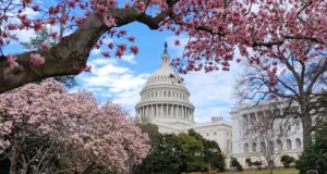 Double Senate races: Inhofe retirement draws a crowd Senate races