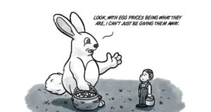 Frugal rabbit worried about the price of eggs price of eggs