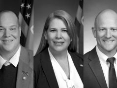 In Legislature, 3 incumbents out, 10 races go to runoffs Logan Phillips, Wendi Stearman, Jake Merrick