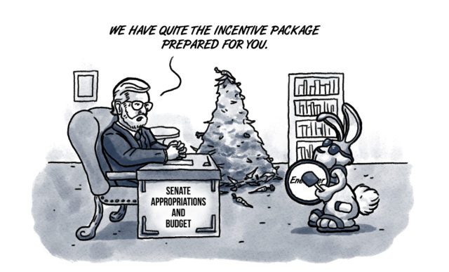 battery plant, Project Carrot