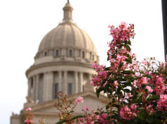 Roundup: SJR 34 failed despite McCall email, OSDE rules questioned, Slavonic to leave ODVA OMES changes, McCall SJR 34