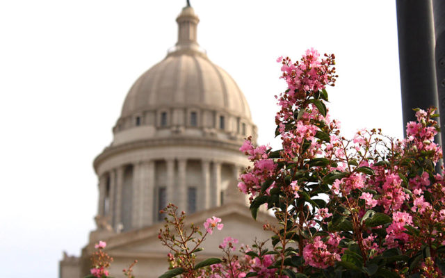 OMES changes, McCall SJR 34