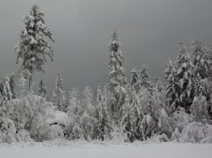 Seasonal affective disorder is real, and there are ways to fight it seasonal affective disorder