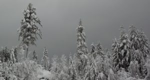 Seasonal affective disorder is real, and there are ways to fight it seasonal affective disorder