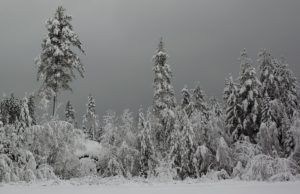 Seasonal affective disorder is real, and there are ways to fight it seasonal affective disorder