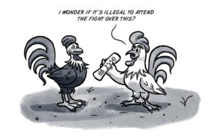 Cockfighting fight turns back time at Oklahoma Capitol cockfighting